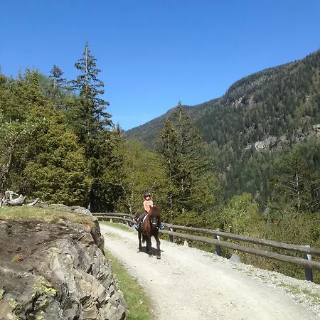 Bekker Chalet * Finhaut